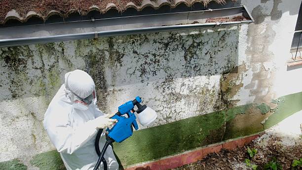 Trusted Mold Remediation service in Finksburg, MD - Cheap Mold Removal